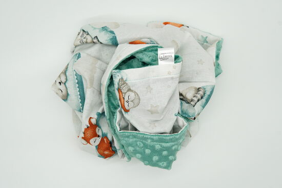 Minky fleece blanket - A dream